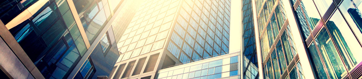 Untitled Header Image
